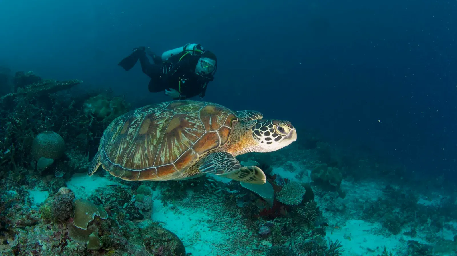 Папуа, январь 2023