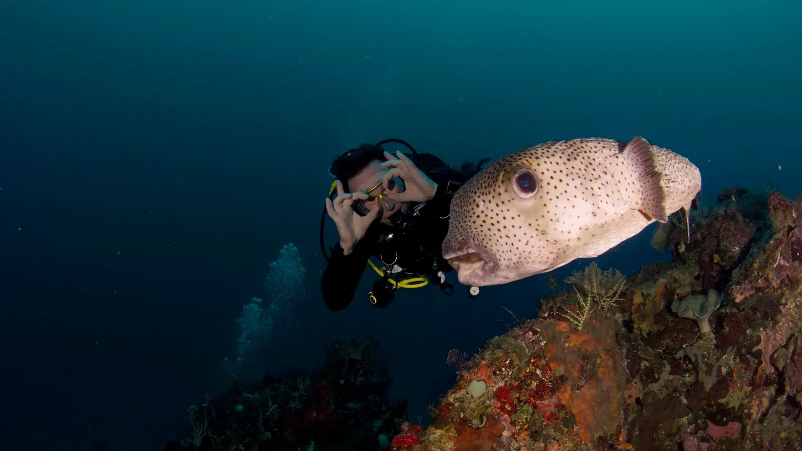 Папуа, январь 2023