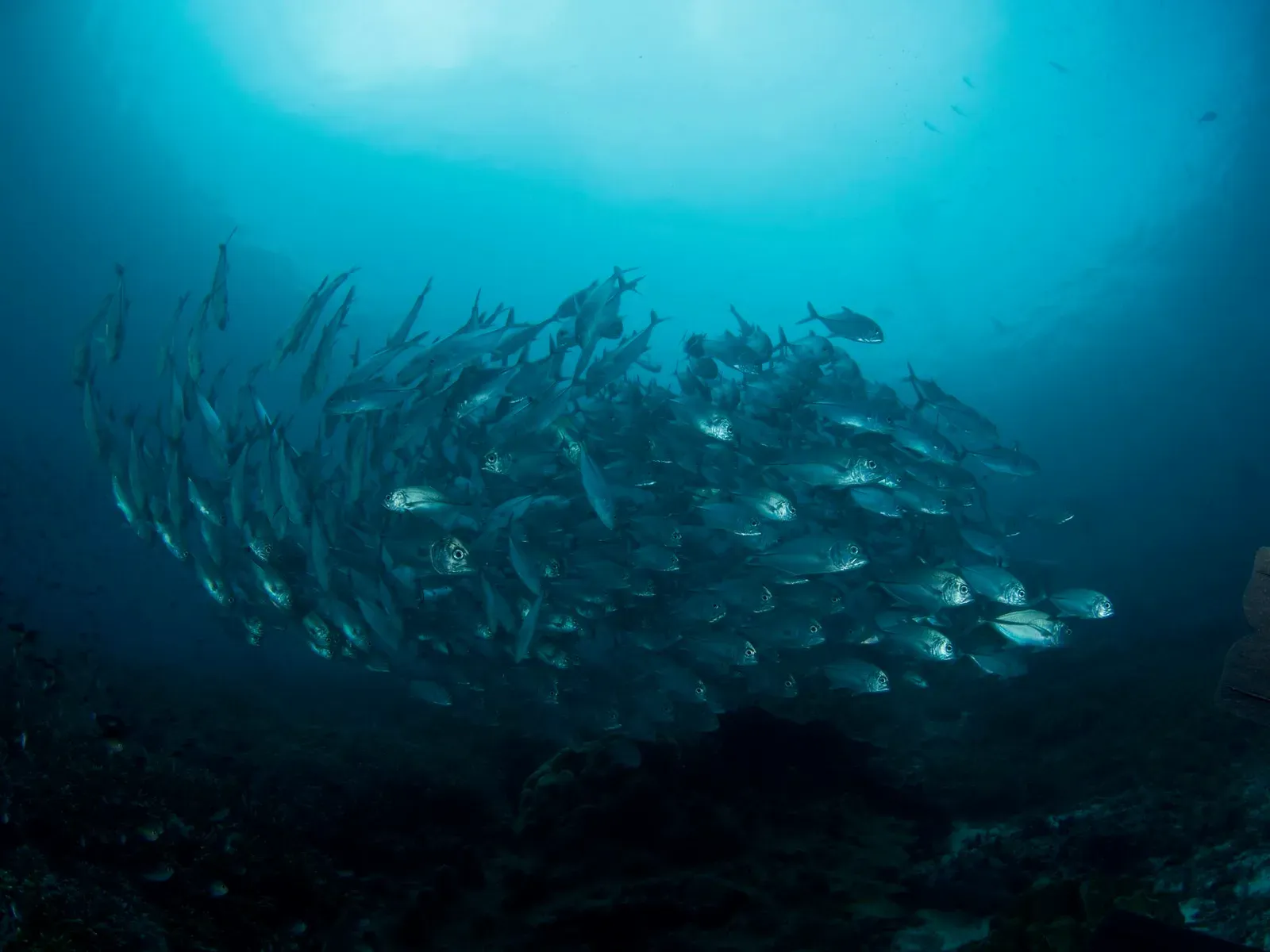 Папуа, январь 2023