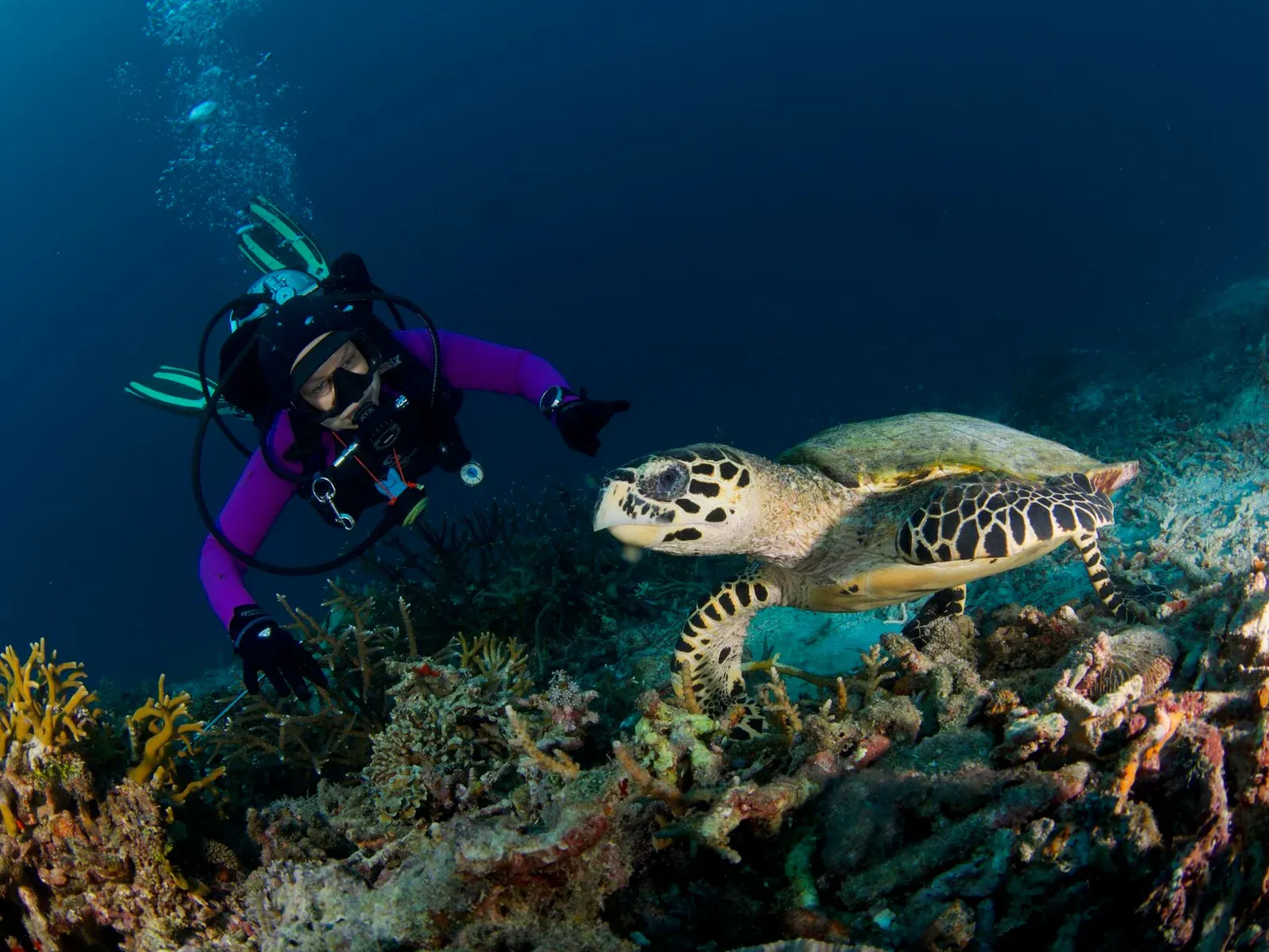 Папуа, январь 2023