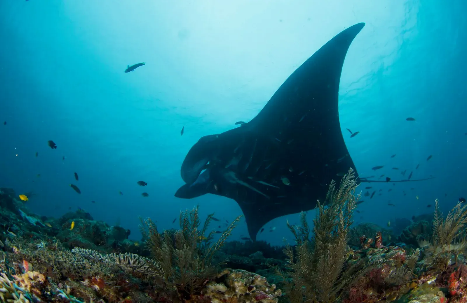 Папуа, январь 2023