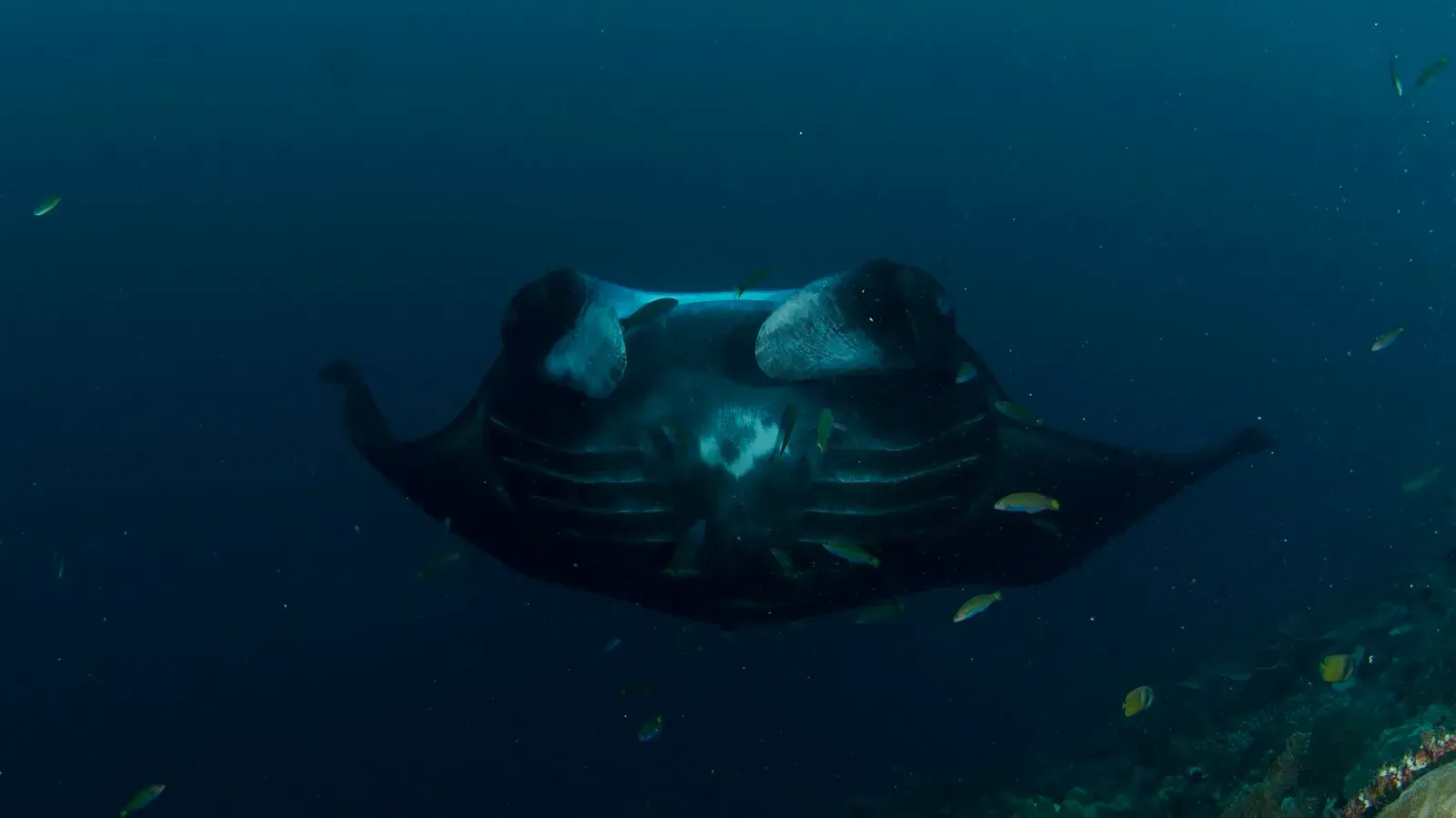 Папуа, январь 2023