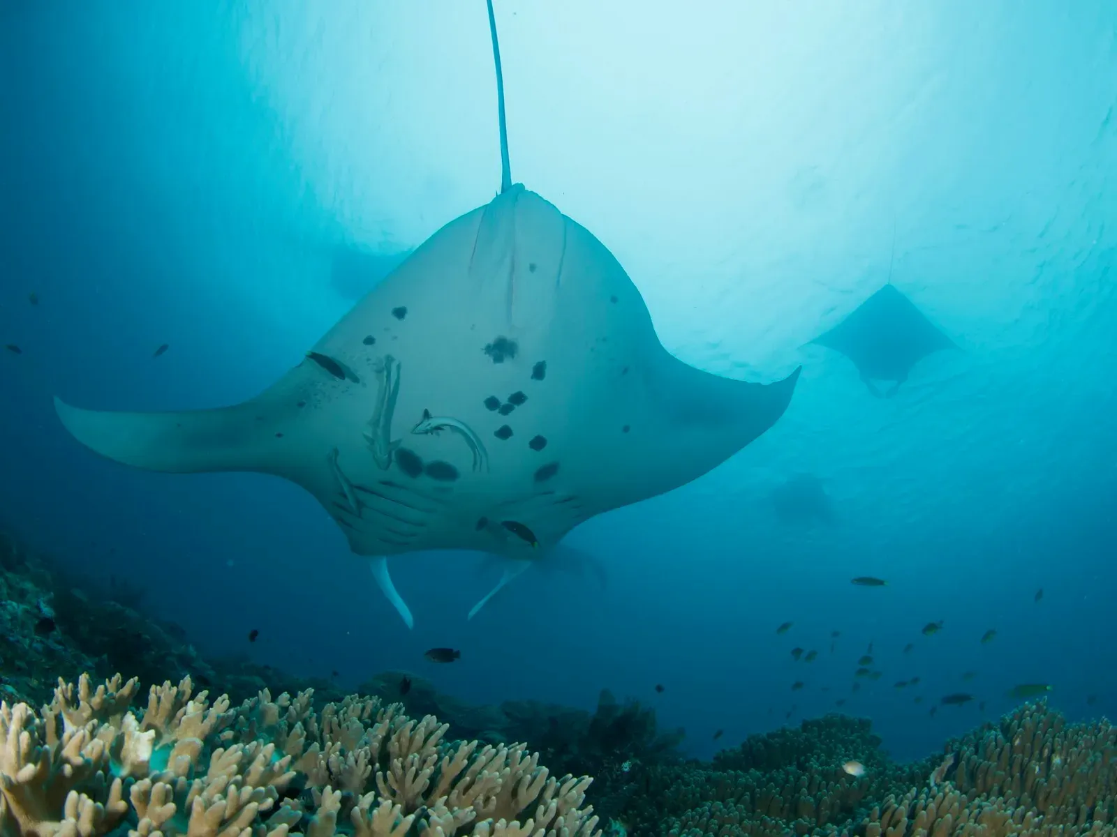 Папуа, январь 2023