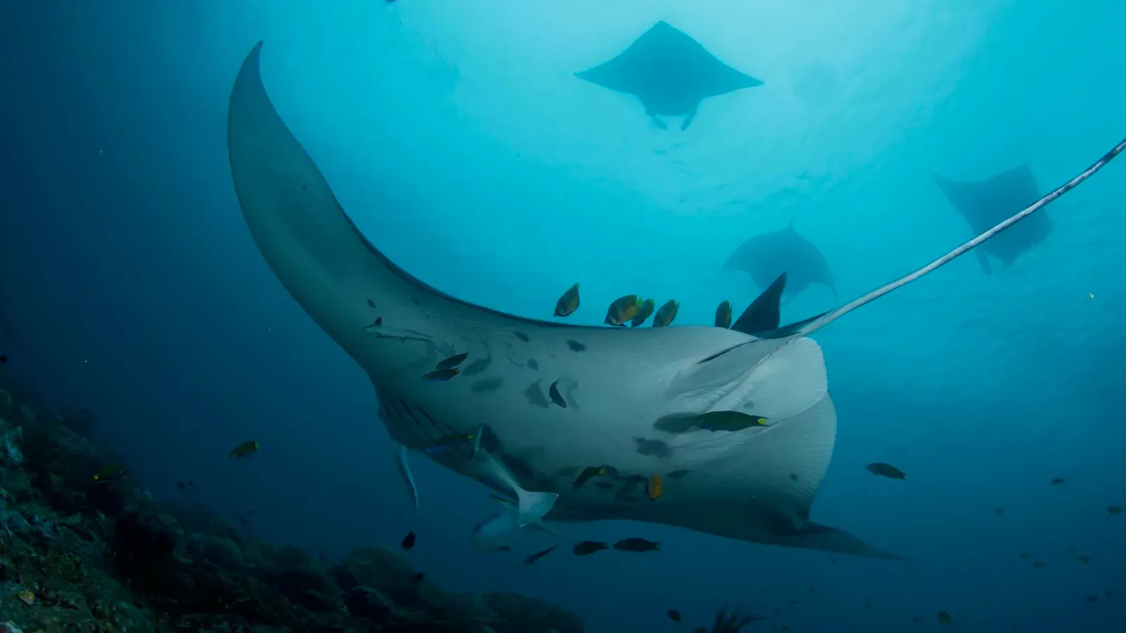 Папуа, январь 2023