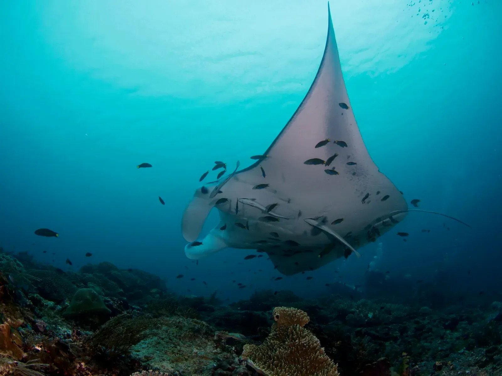 Папуа, январь 2023