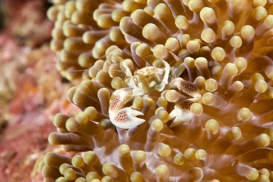 Филиппины, май 2025