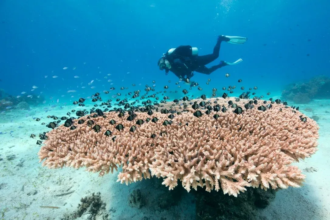 Филиппины, май 2025