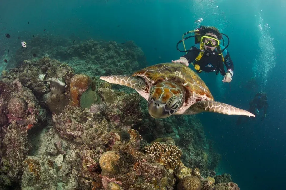 Филиппины, май 2025