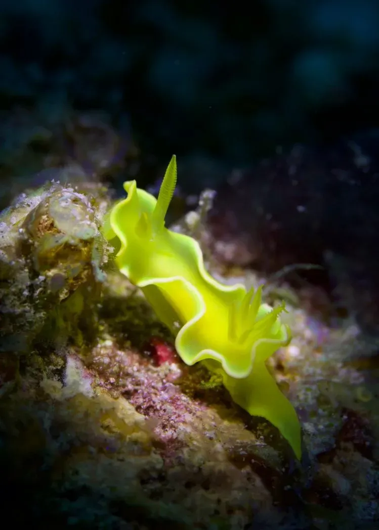 Филиппины, май 2025