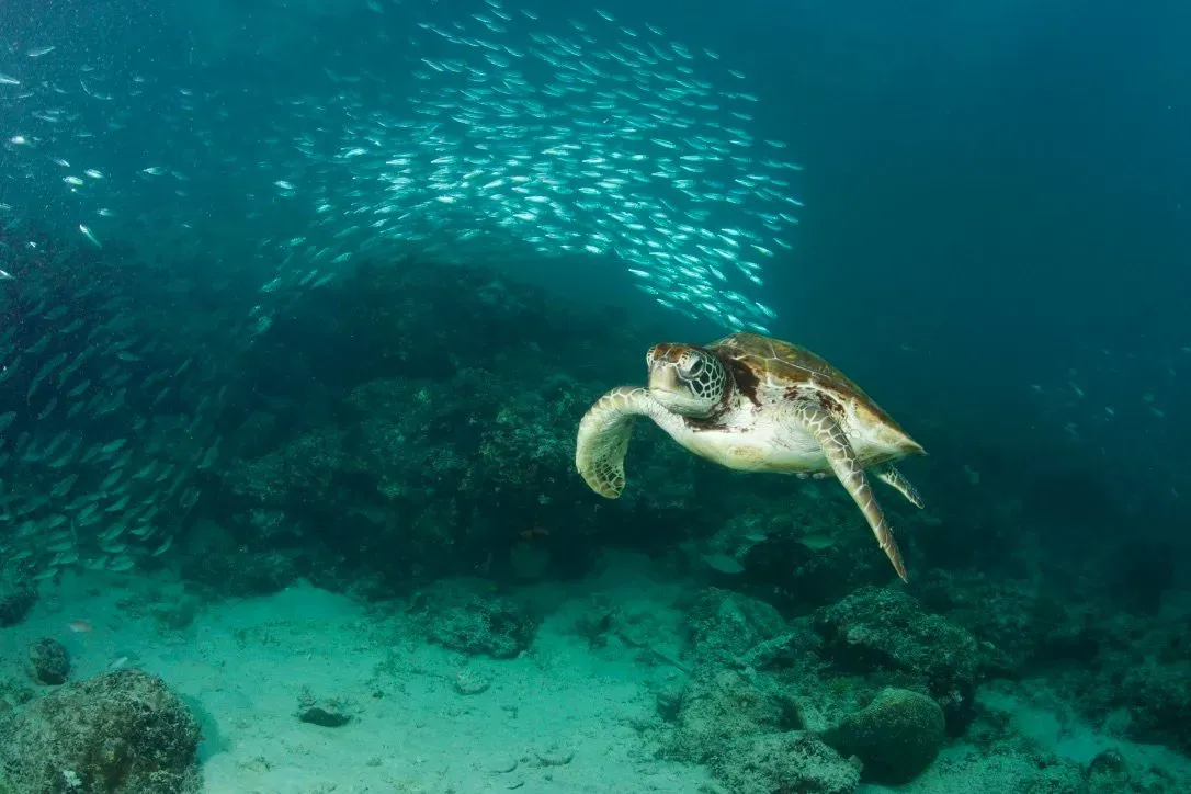 Филиппины, май 2025