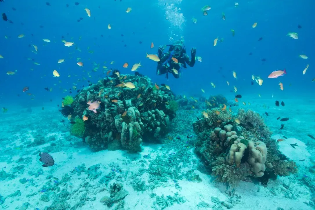 Филиппины, май 2025