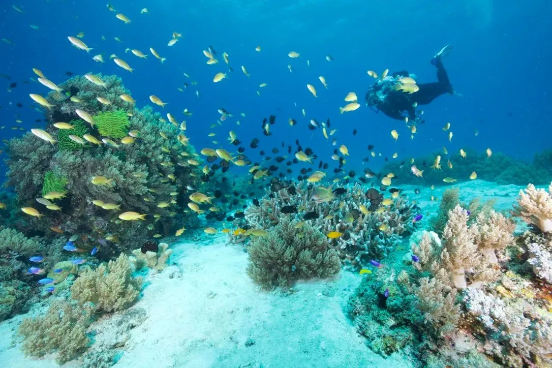 Филиппины, май 2025