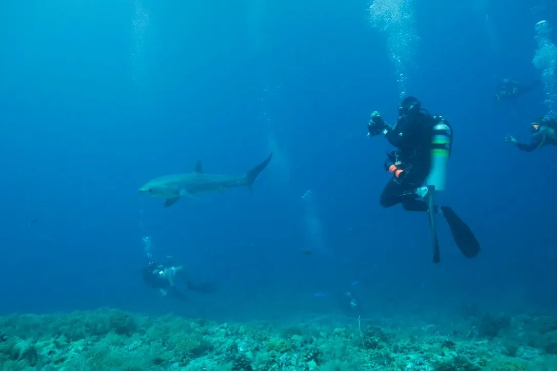 Филиппины, май 2025