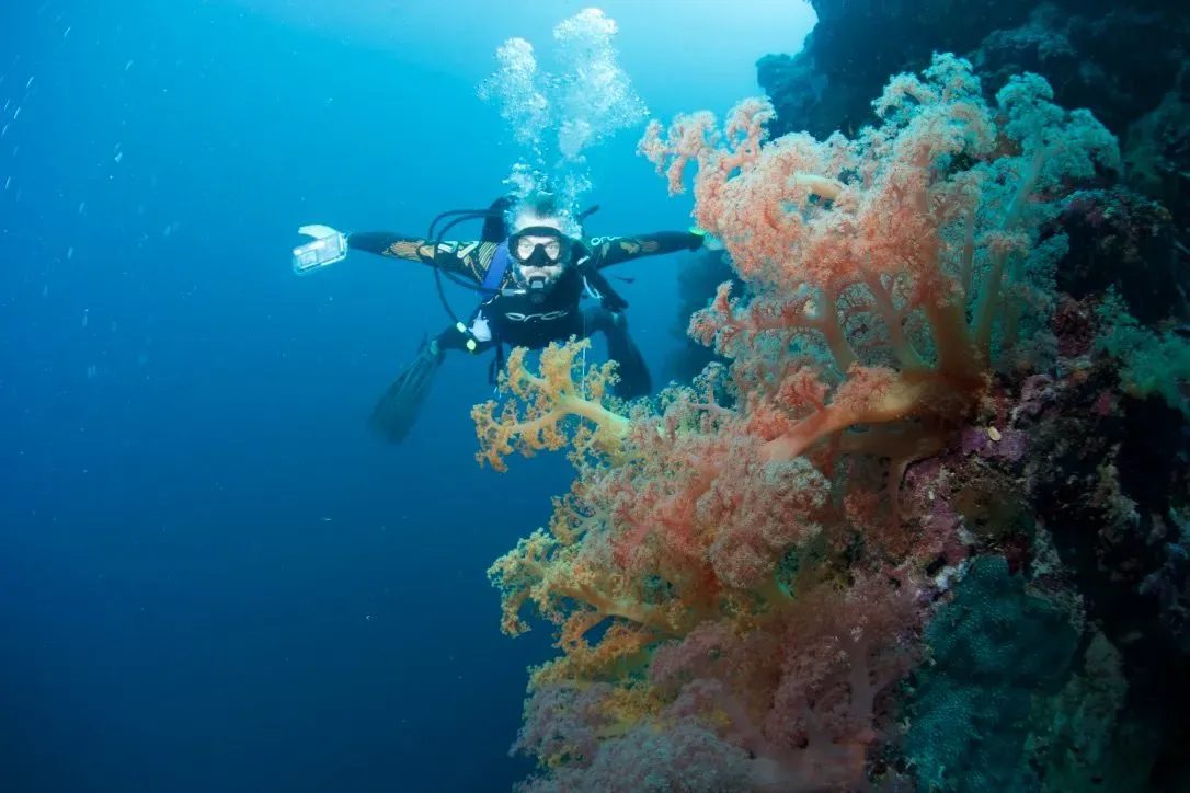 Филиппины, май 2025