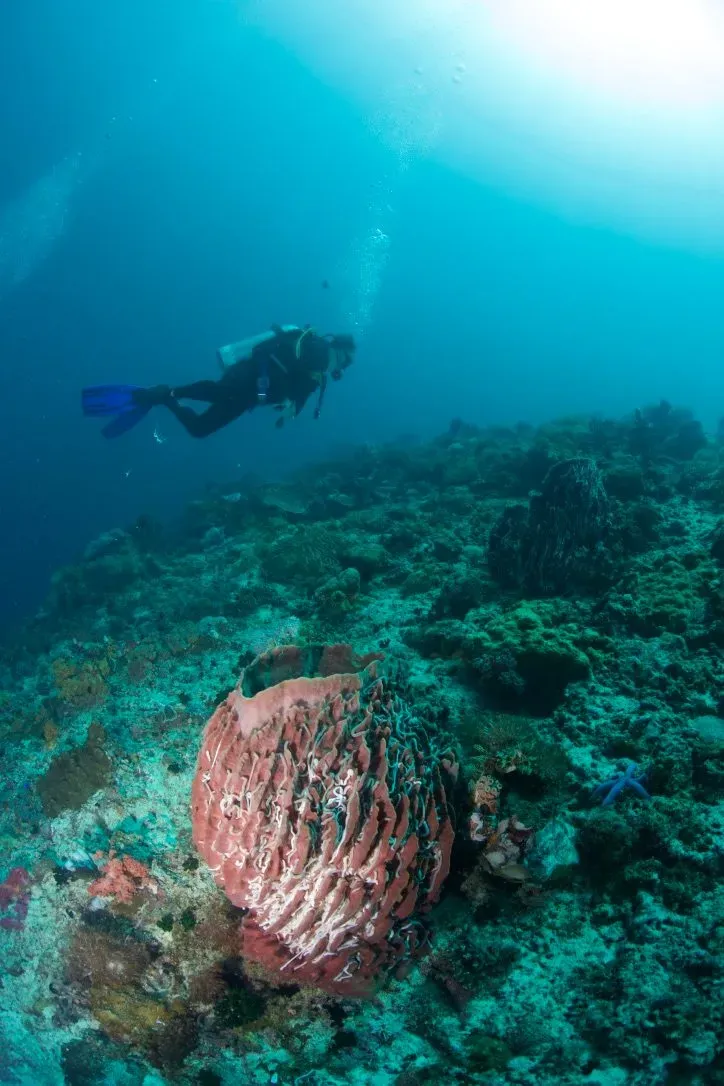 Филиппины, май 2025