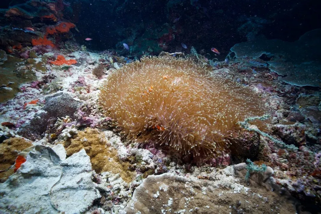 Филиппины, май 2025