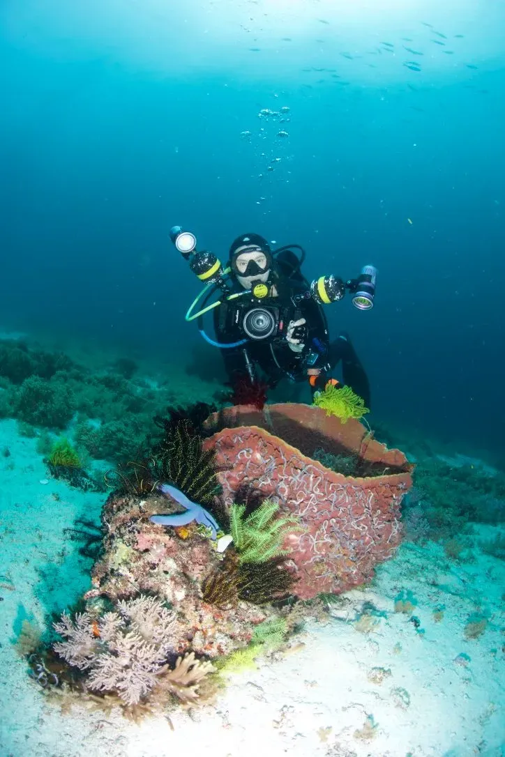 Филиппины, май 2025