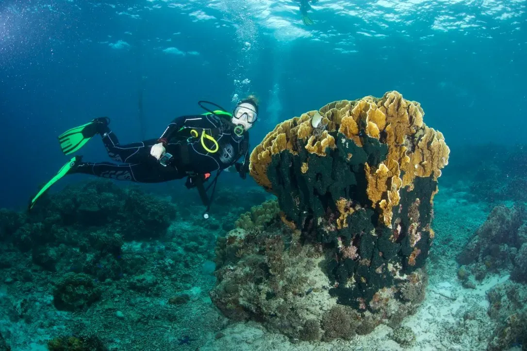 Филиппины, май 2025