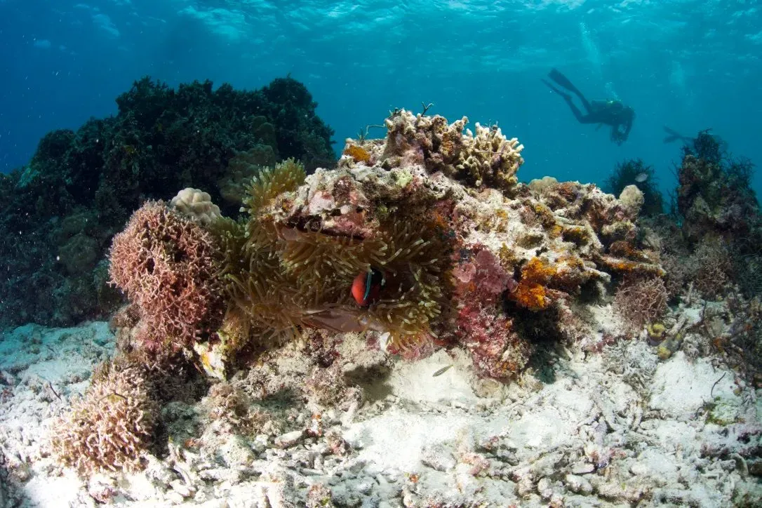 Филиппины, май 2025