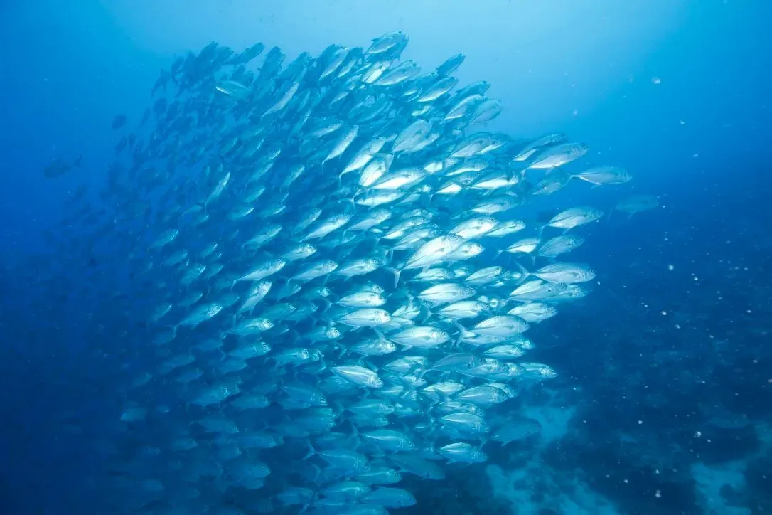 Филиппины, май 2025