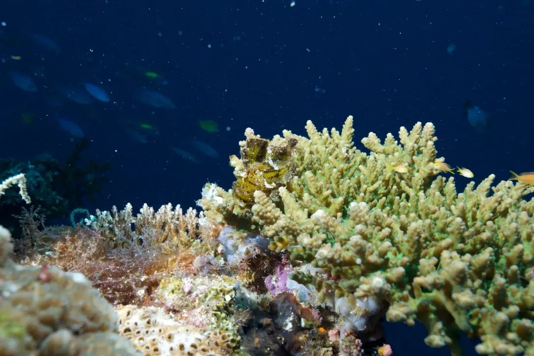 Филиппины, май 2025