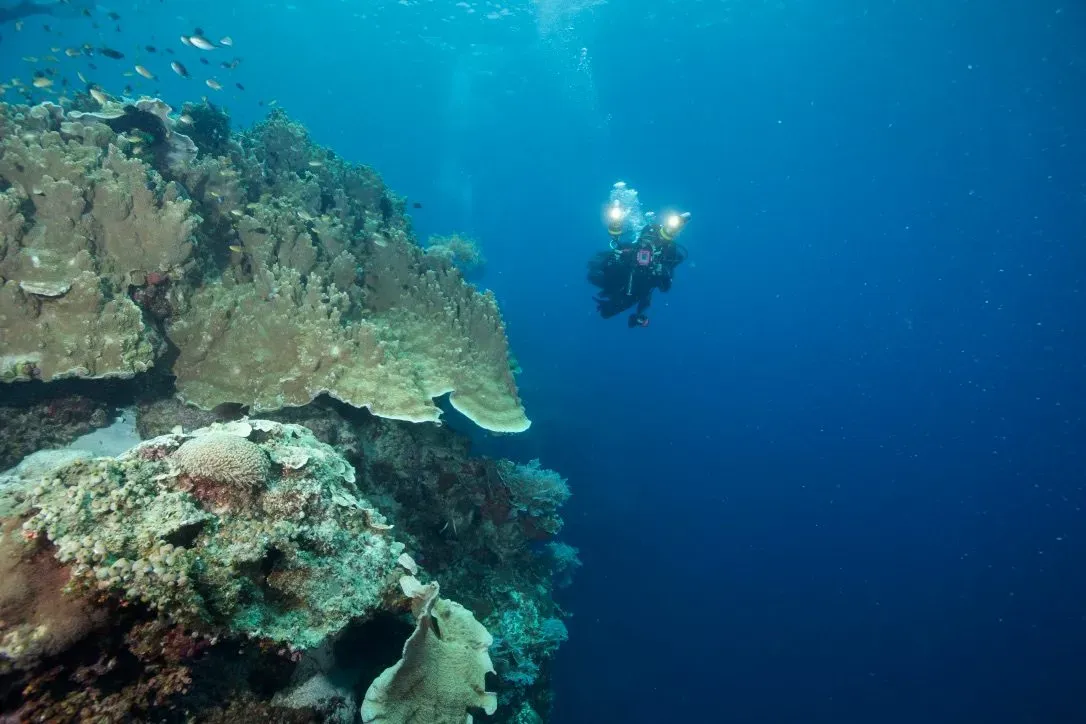 Филиппины, май 2025