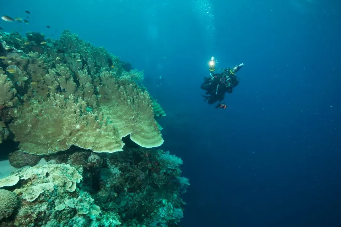 Филиппины, май 2025