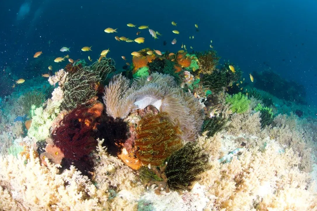 Филиппины, май 2025