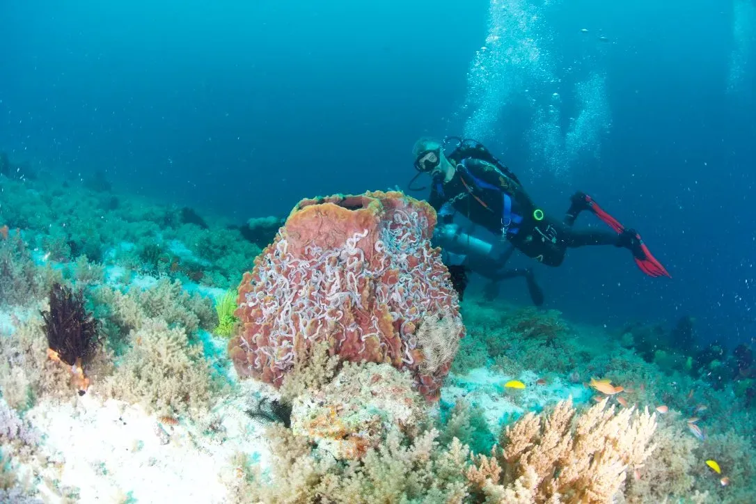 Филиппины, май 2025