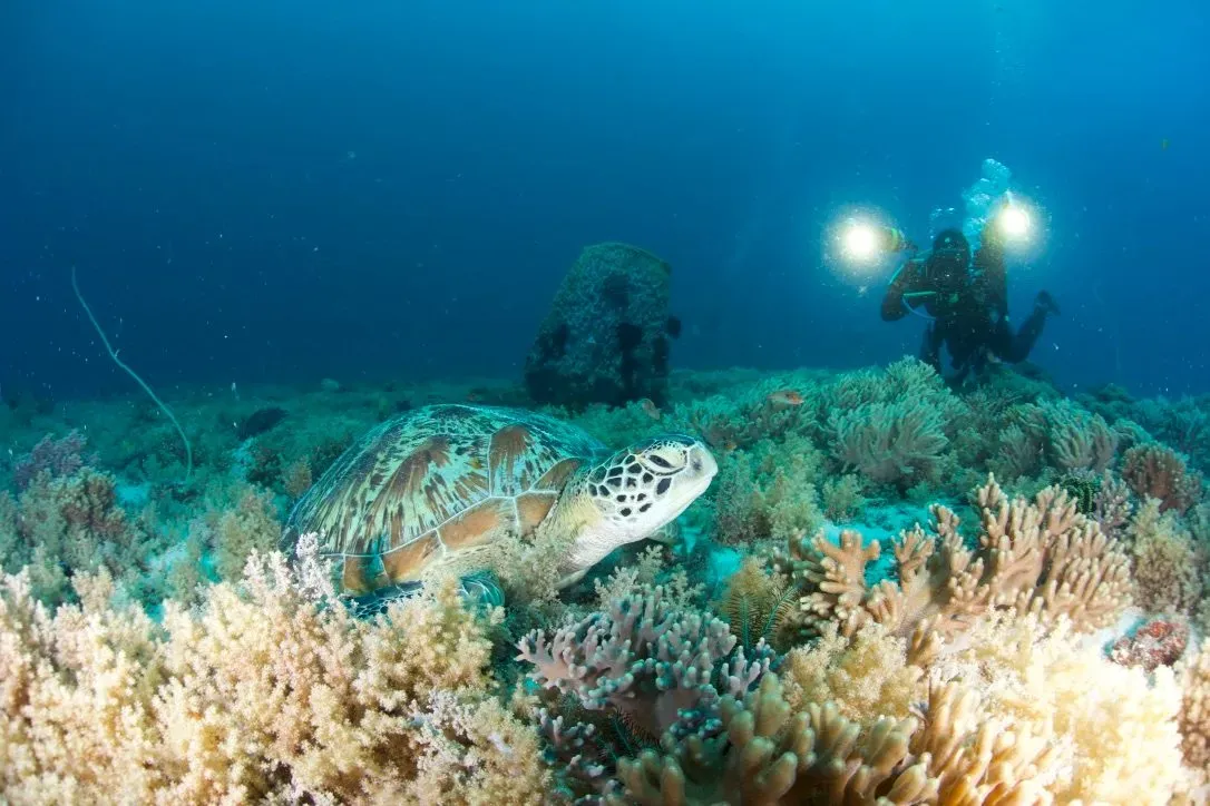 Филиппины, май 2025