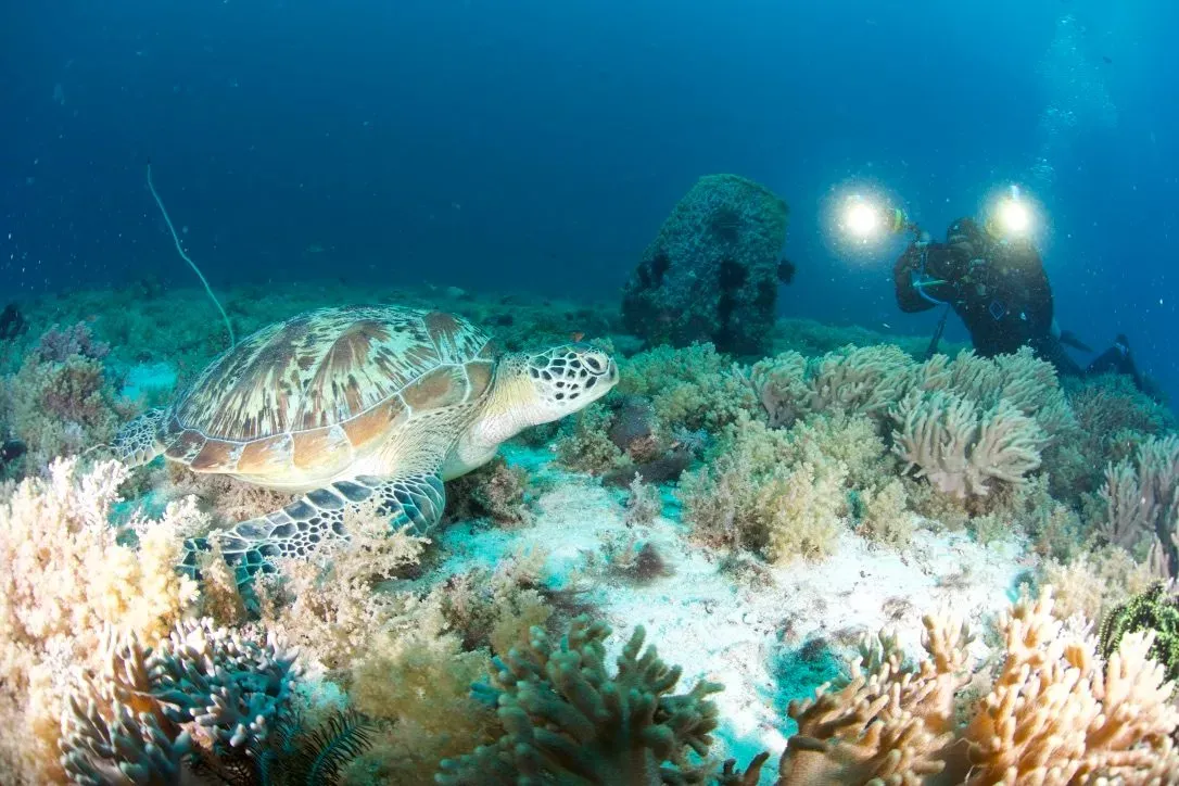 Филиппины, май 2025