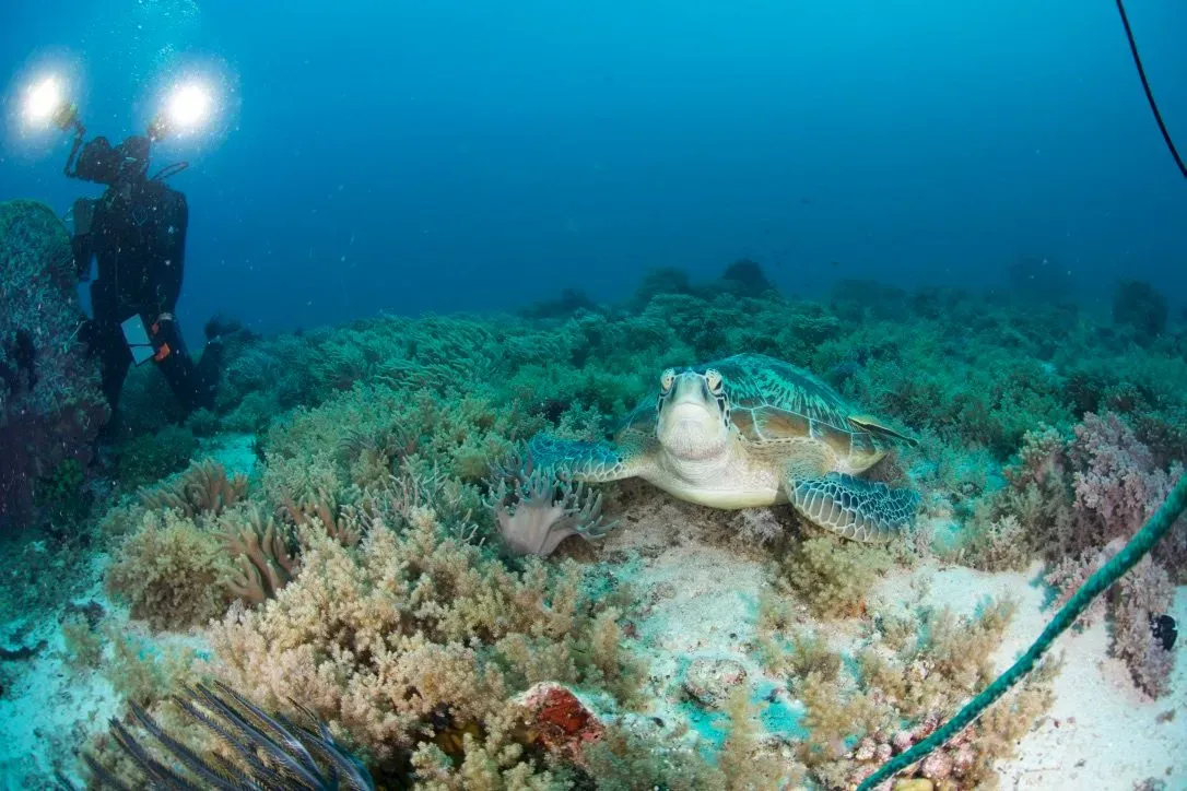 Филиппины, май 2025