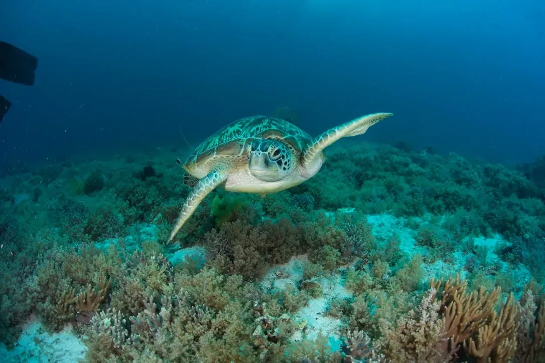 Филиппины, май 2025