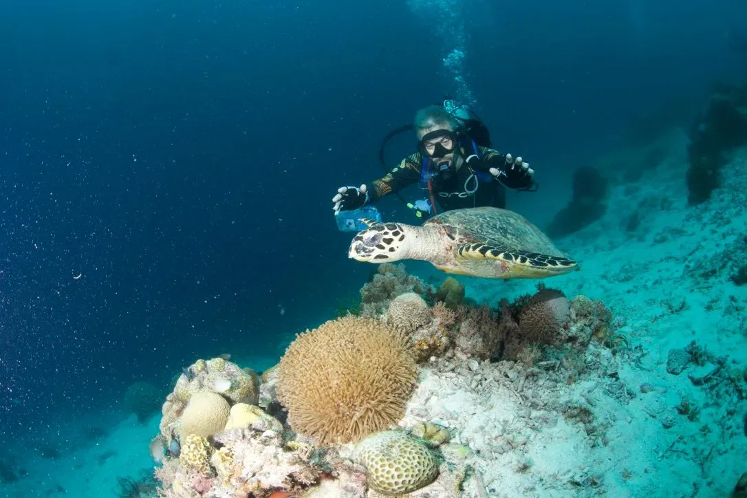 Филиппины, май 2025