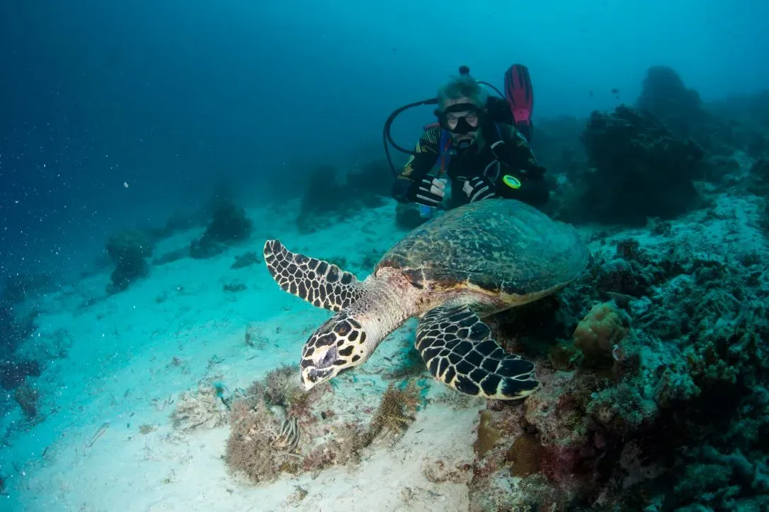 Филиппины, май 2025