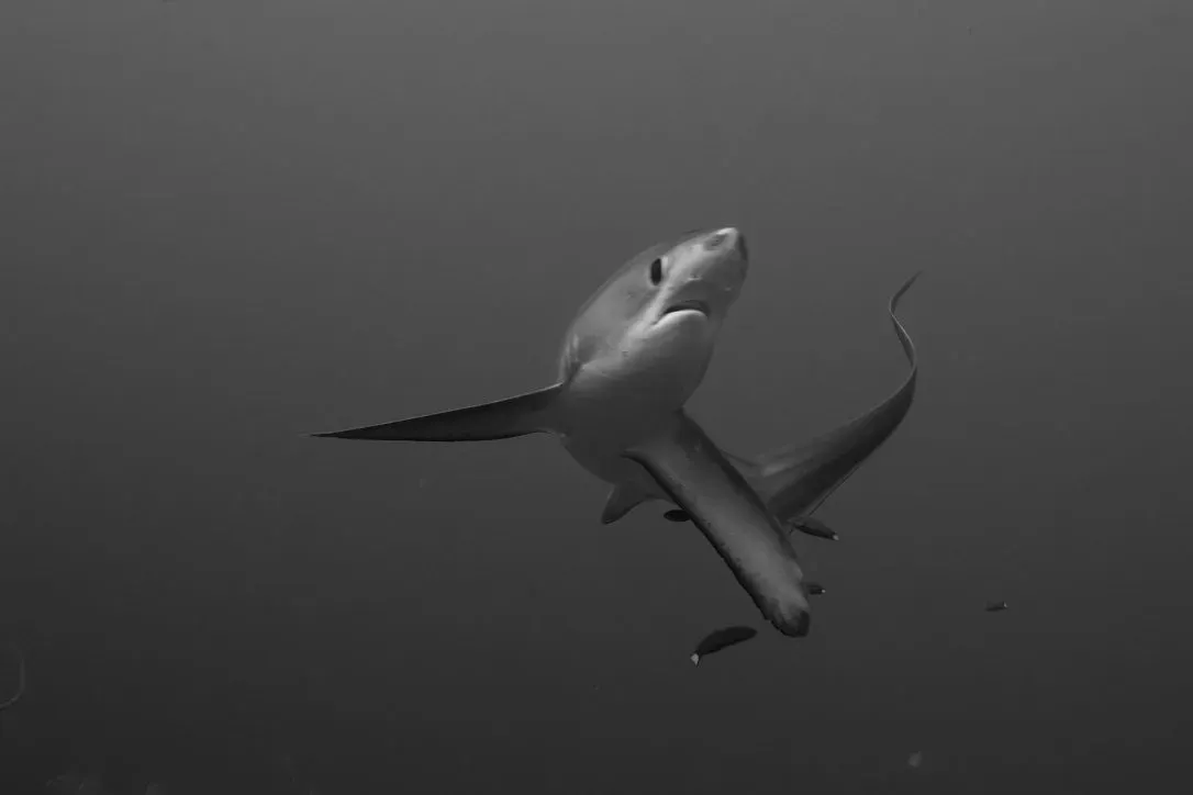 Филиппины, май 2025