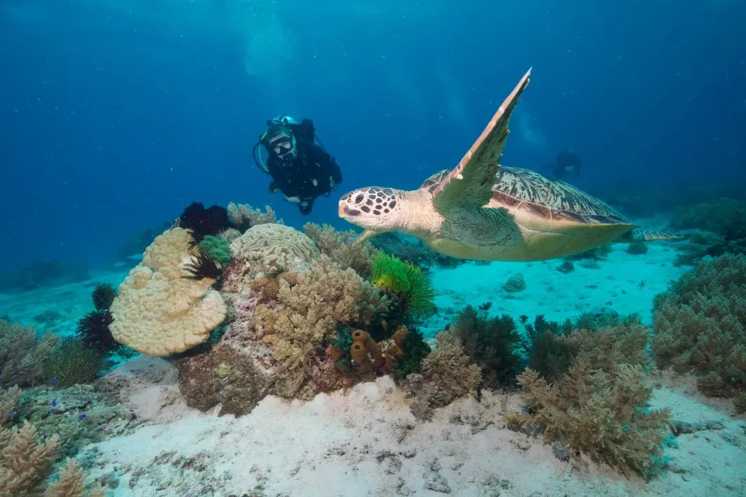 Филиппины, май 2025