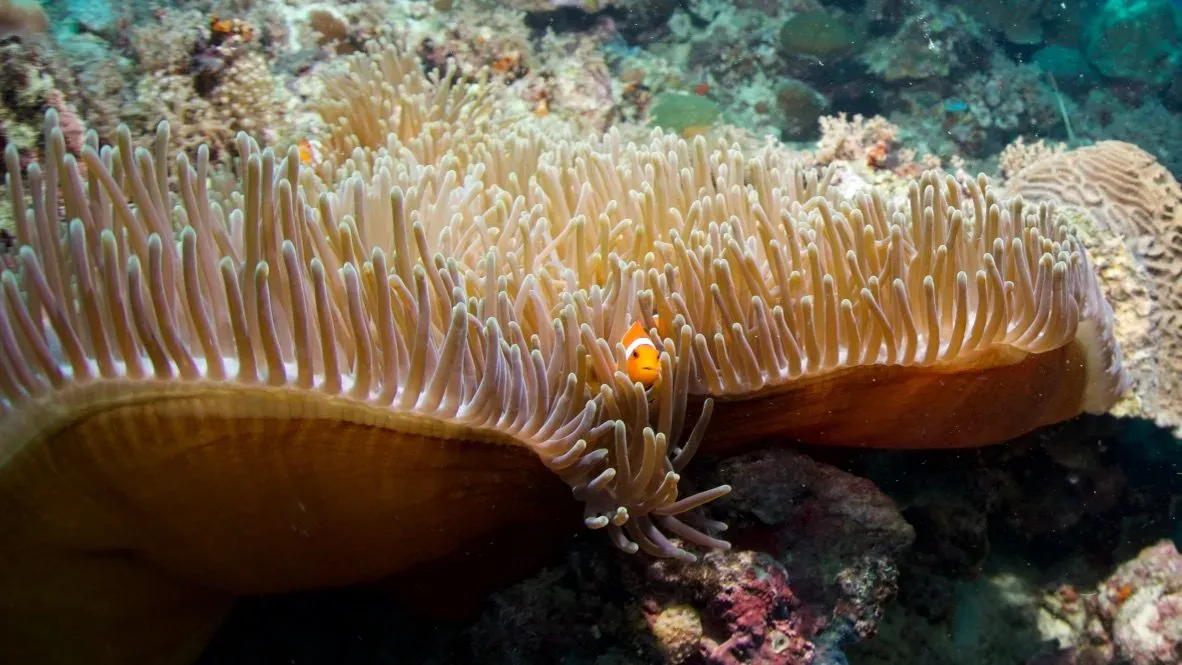 Филиппины, май 2025