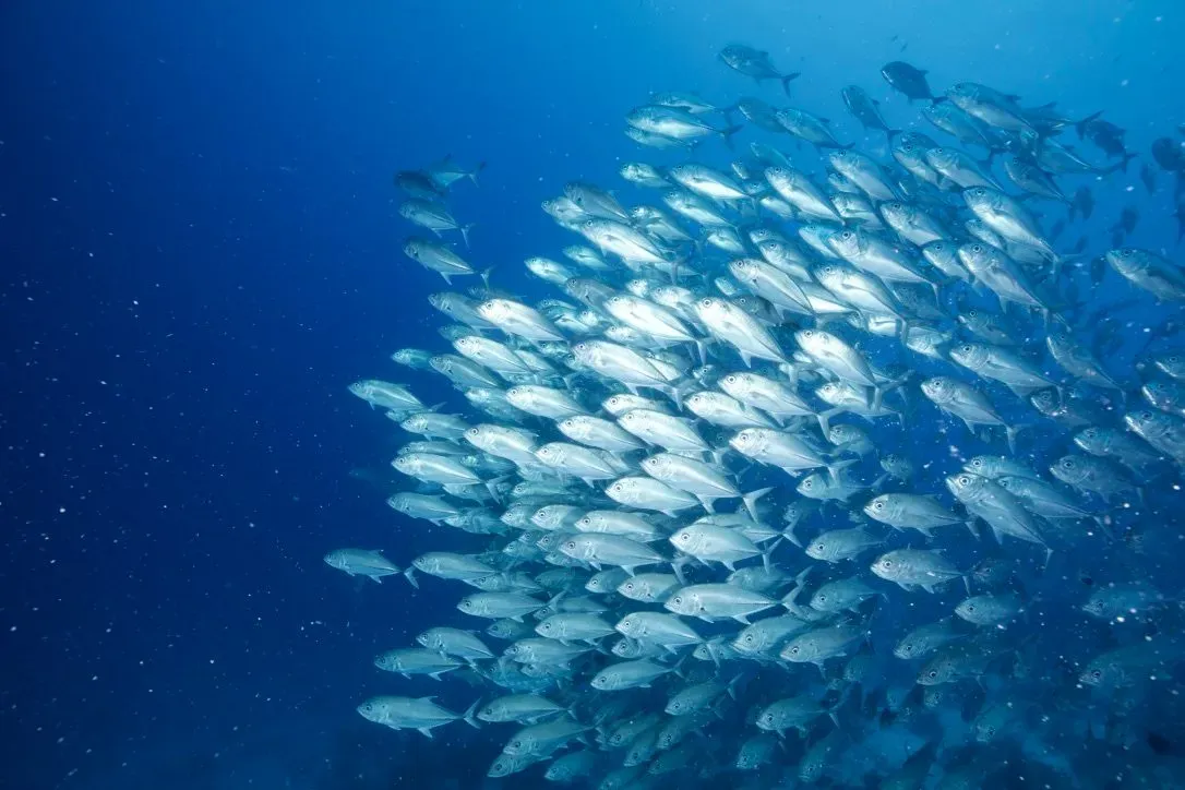 Филиппины, май 2025