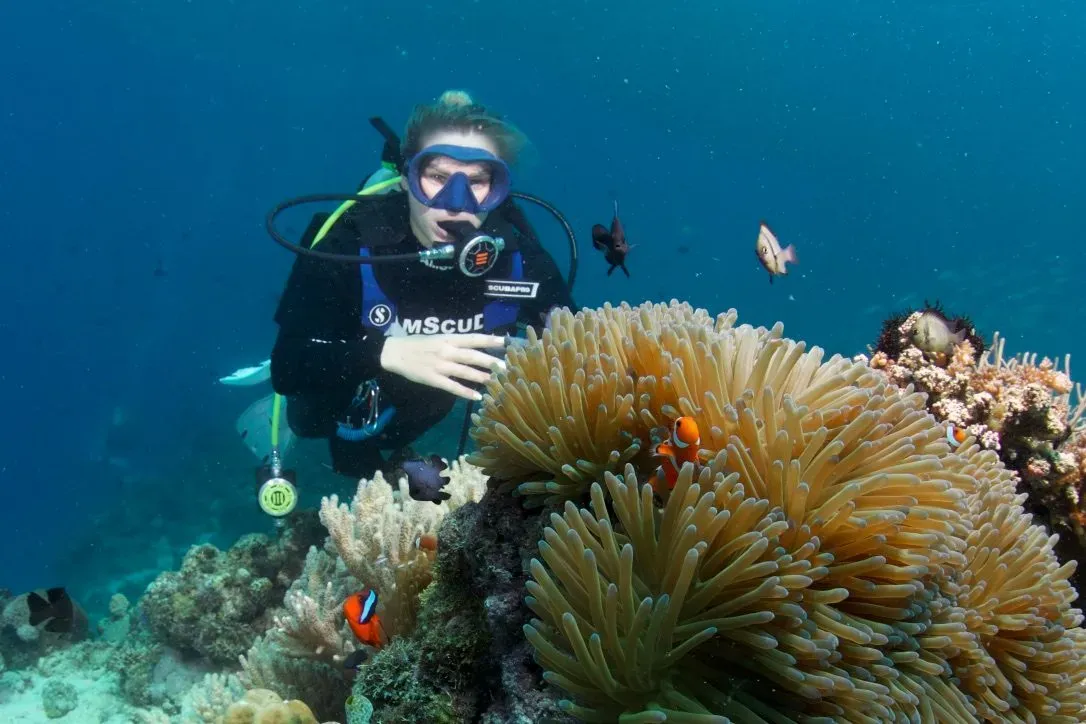 Филиппины, май 2025