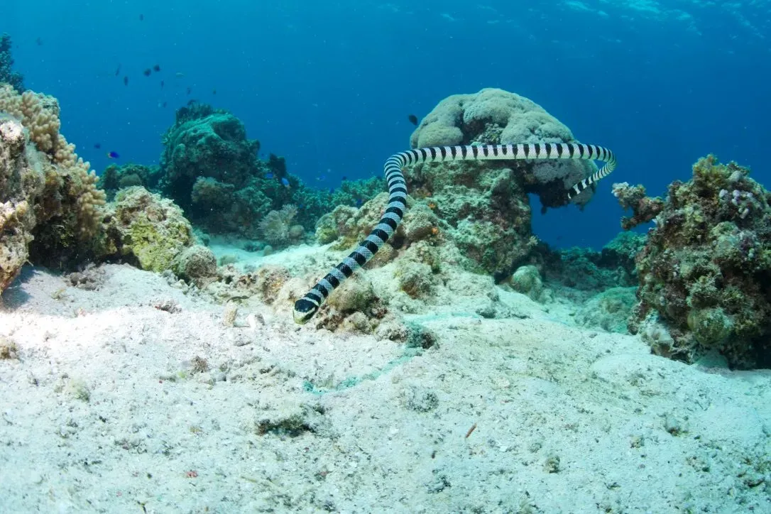 Филиппины, май 2025