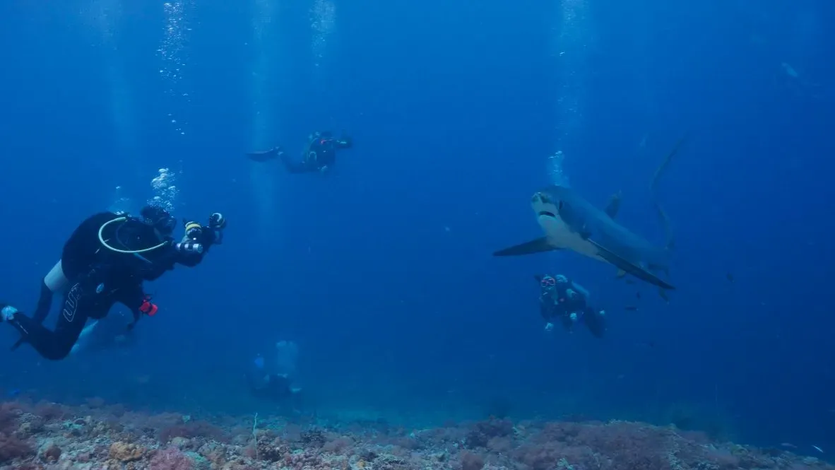 Филиппины, май 2025