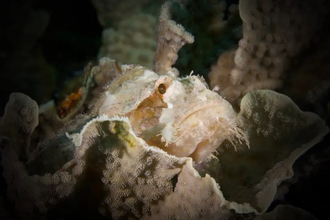 Филиппины, май 2025