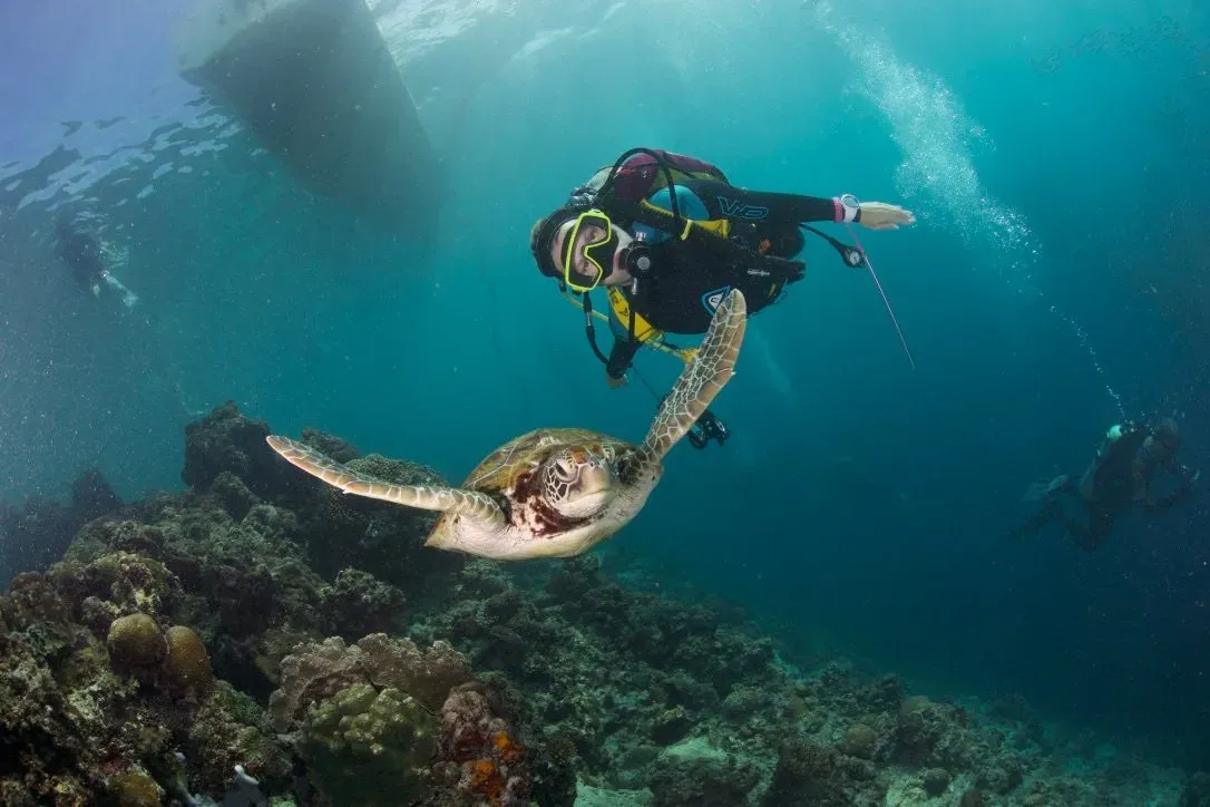 Филиппины, май 2025