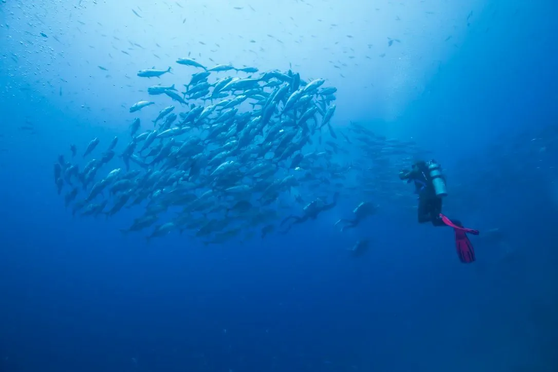 Филиппины, май 2025