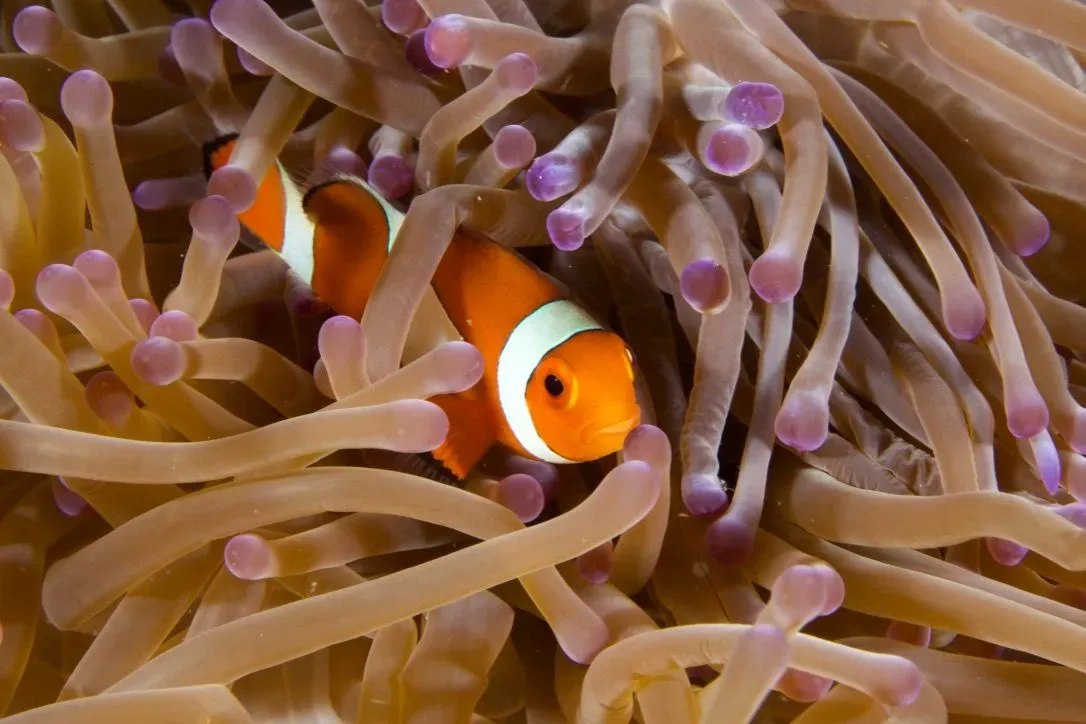 Филиппины, май 2025