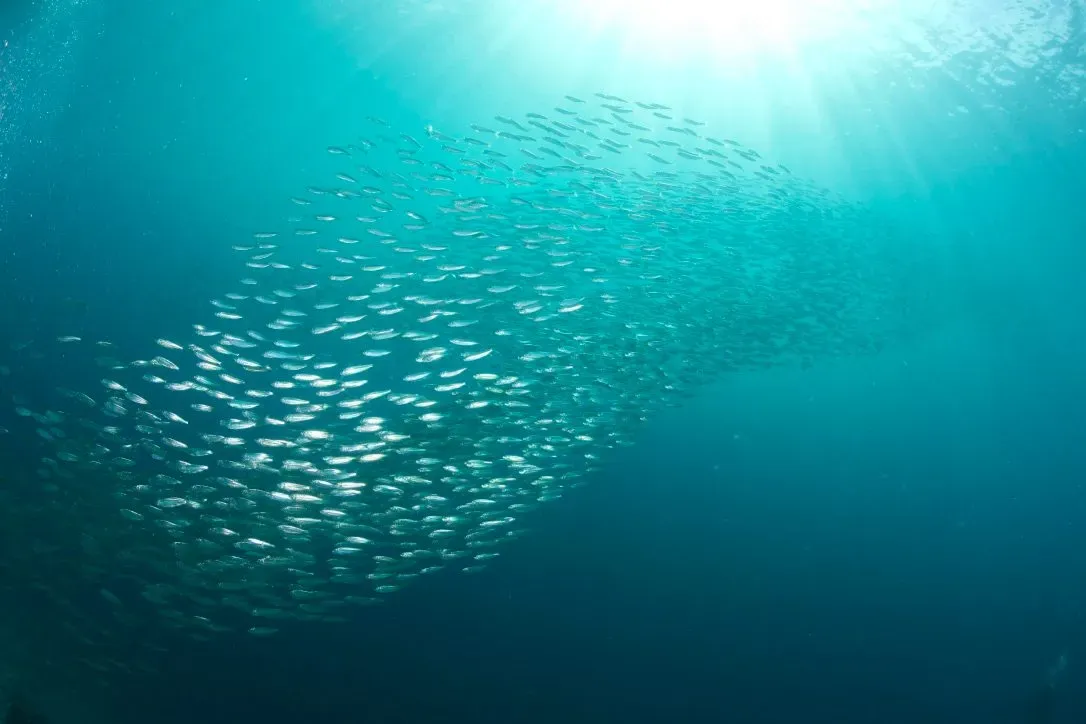 Филиппины, май 2025