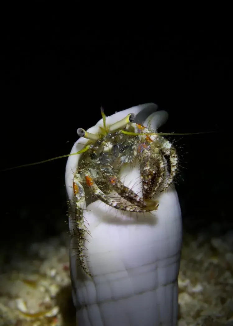 Филиппины, май 2025