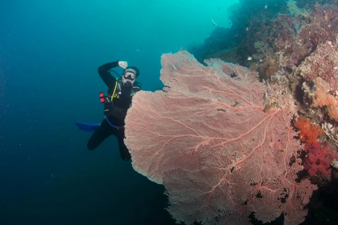 Филиппины, май 2025