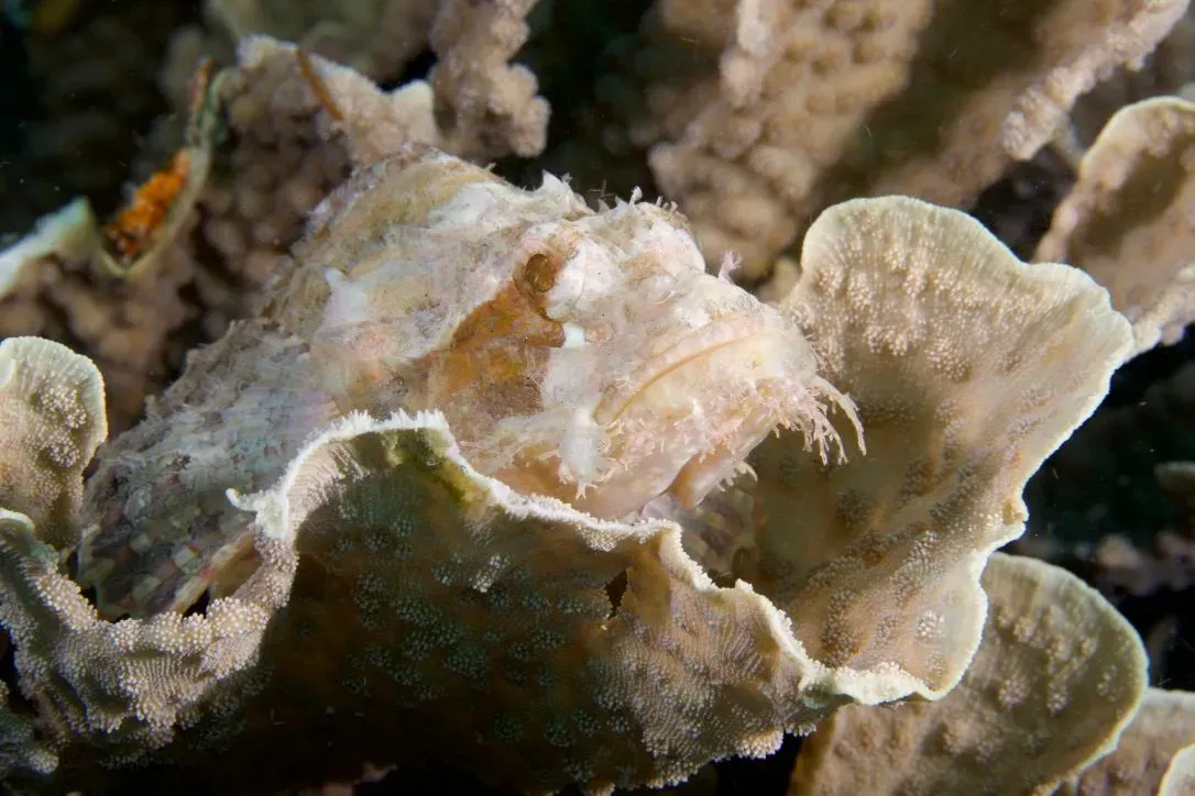 Филиппины, май 2025